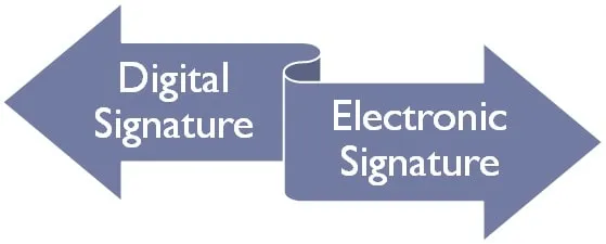 DSC: Digital Signature
